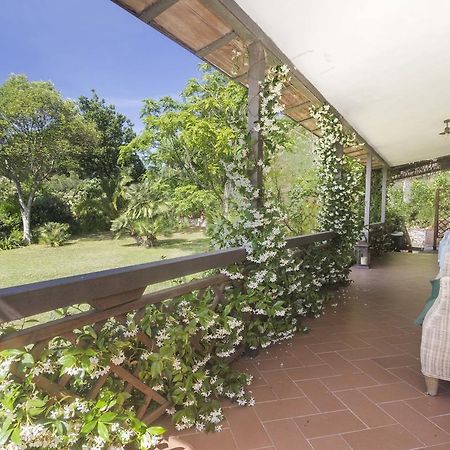 Villa Monserrato - Goelba Porto Azzurro Eksteriør bilde