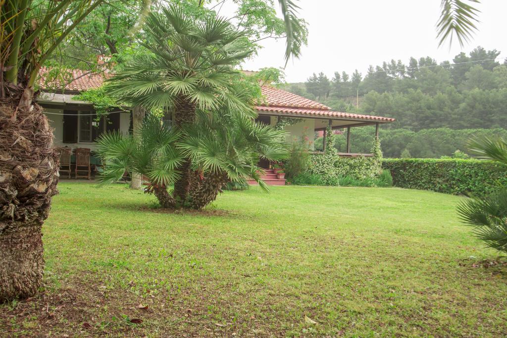 Villa Monserrato - Goelba Porto Azzurro Eksteriør bilde